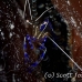 shrimp_cleaner_pederson_dome_nwp_h_0113_tci2062.jpg